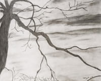 Ashley Cuddeford United States artist