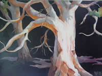 south african artist Yvette Galliher oil paintings