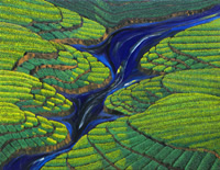 Khin Win Kyi KWK) singapore artist paintings