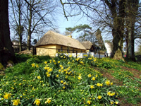 John Quinn irish artist