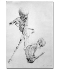 Mirko Sevic croatian artist