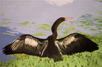 south african artist Jane Olsen Tasciotti paintings