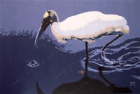 south african artist Jane Olsen Tasciotti paintings