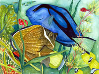 deborah alastra united states artist watercolour paintings