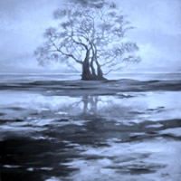 lynette beaton south african artist oil paintings