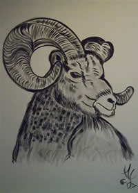 al borrego united states artist oil paintings