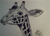 al borrego united states artist oil paintings