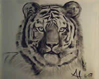 al borrego united states artist oil paintings