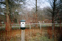 south african artist lien botha photography