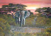 Avril Brand irish artist oil paintings