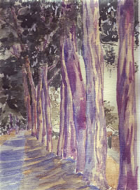 south african artist Heidi Marion Brummer paintings