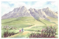 south african artist Heidi Marion Brummer paintings