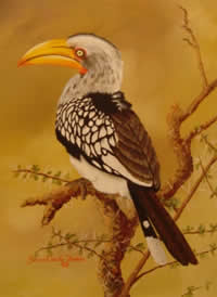 south african artist Yvonne Carola-Pearce paintings