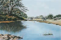 south african artist Yvonne Carola-Pearce paintings