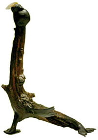 Corinna de Jong dutch artist