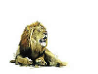 sue dickinson south african artist watercolour paintings