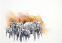 sue dickinson south african artist watercolour paintings