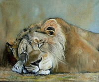 Wendy Du Plessis south african artist oil paintings