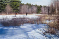 oscar durand united states artist oil paintings