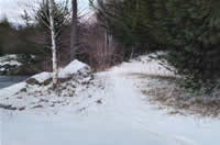 oscar durand united states artist oil paintings