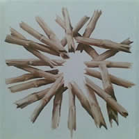 Corne Eksteen south african artist oil paintings