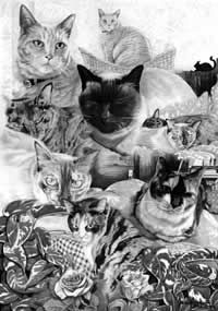 jason ferguson australian artist oil paintings