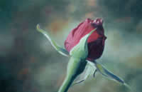 jason ferguson australian artist oil paintings