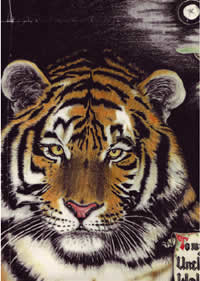 jason ferguson australian artist oil paintings