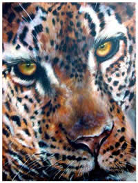 south african artist helena fourie oil paintings