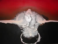 Leila Garde paintings south african artist