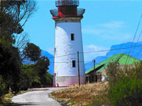 Sharon Govender united states artist