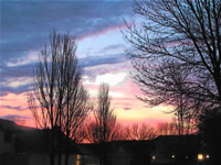 Sharon Govender united states artist