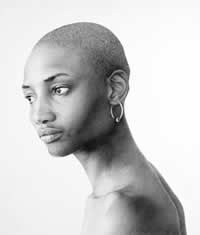 greg lourens south african artist drawings paintings