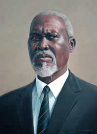 diane mclean oil paintings south african artist