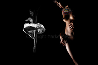 mark meyer south african artist sculpture