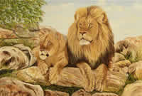 south african artist val odendaal oil paintings