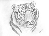 Tok Patterson oil paintings south african artist