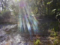 john pavon united states artist paintings