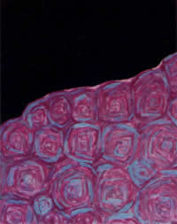 Veronica Pelzel united states artist paintings