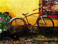 Pepper Pepper united states artist