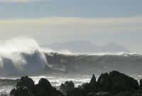 south african artist Bruce Relly photography