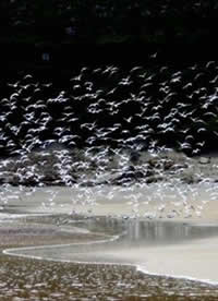 south african artist Bruce Relly photography