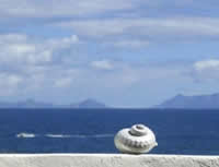 south african artist Bruce Relly photography