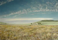 south african artist Constance Robertson pastels