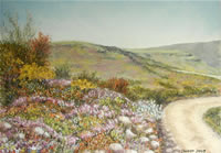 south african artist Constance Robertson pastels