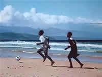 south african artist catherine rolle paintings