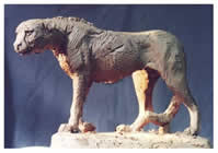 south african artist jo roos paintings