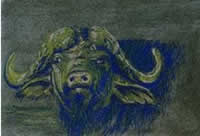 south african artist tami roos paintings