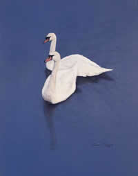 susan shimeld united kingdom artist oil paintings