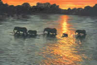 susan shimeld united kingdom artist oil paintings